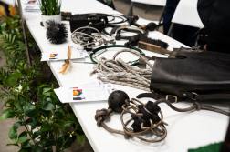 Katasztrófavédelem